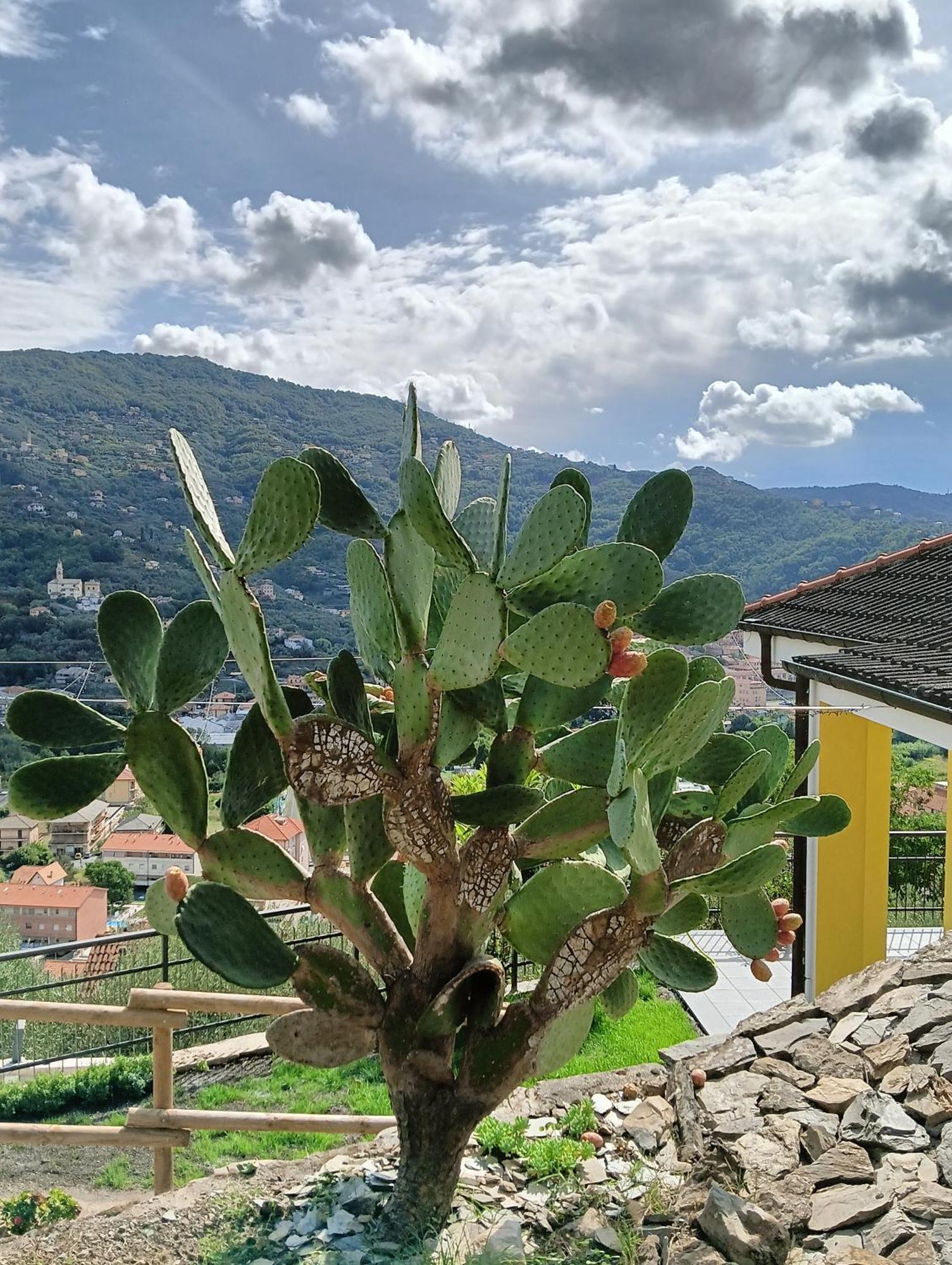 Villa Le Drupe Chiavari Exterior foto